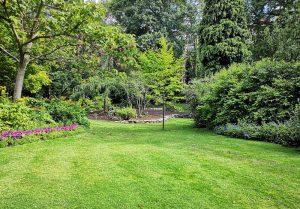 Optimiser l'expérience du jardin à Rognes