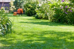 travaux jardin et paysage Rognes